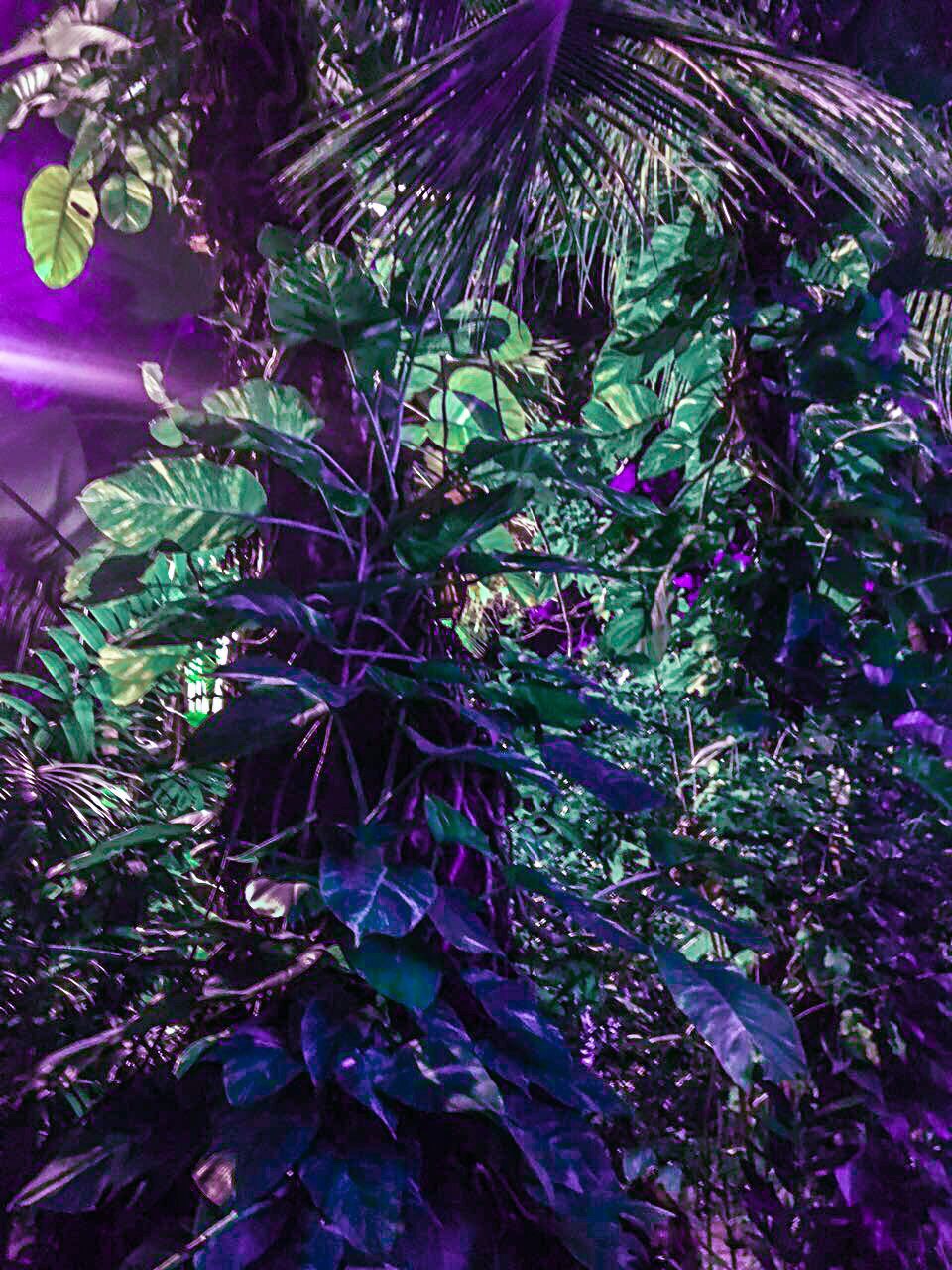 Bremmatic: Purple Blue And Green Aesthetic